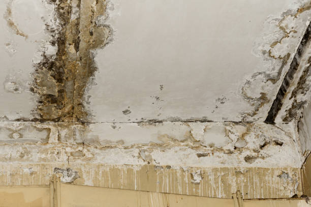 Best Indoor Air Quality Assessment  in Pulaski, NY